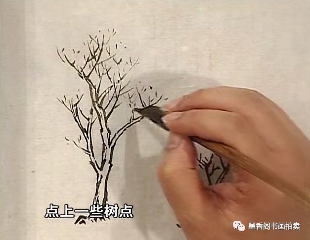 随时随地学国画王飞飞芥子园画谱之青山绿水高清24讲原版6dvd