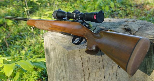 美国枪迷描述用雷明顿m700打猎有多美妙,200磅的猎物