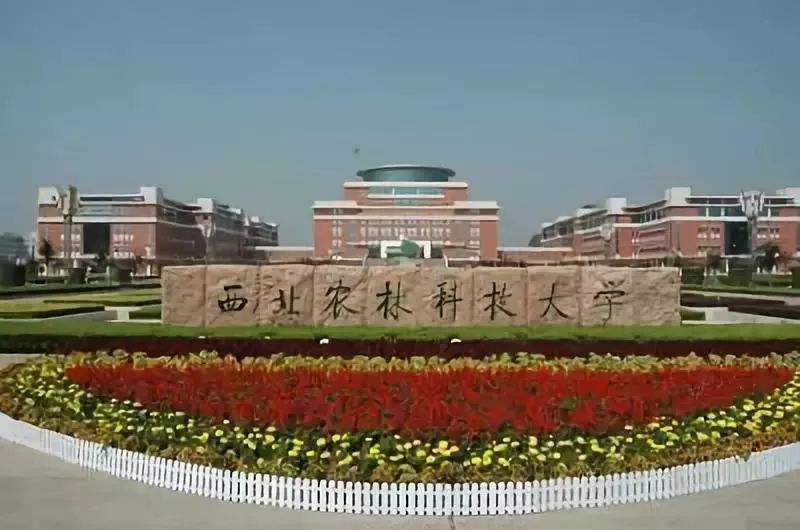 西北农林科技大学校门