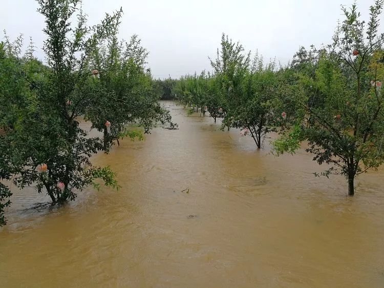 暴雨仍将持续这些乡镇已受灾