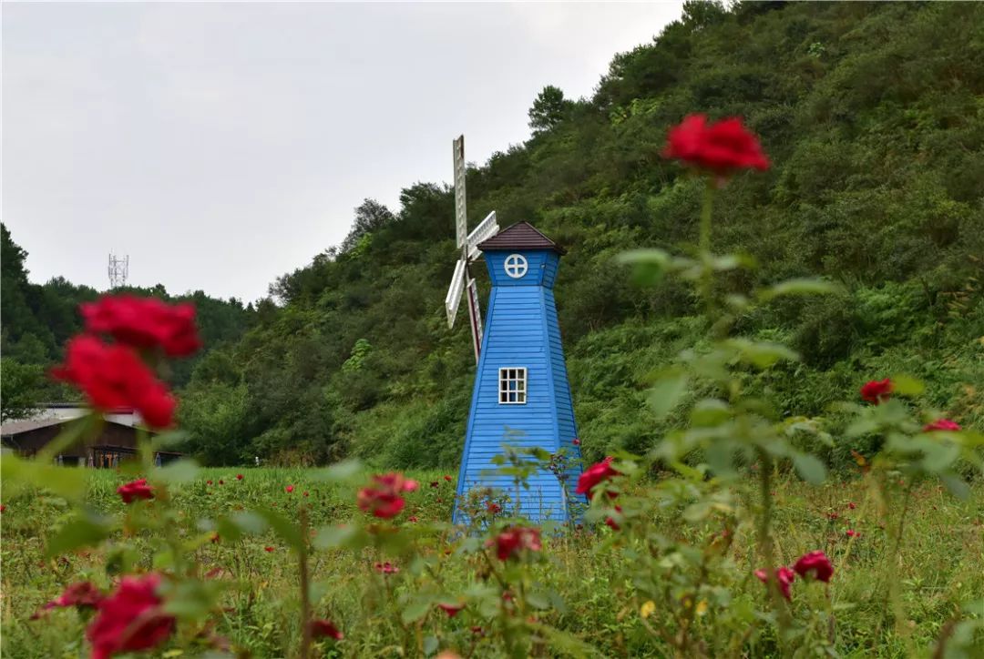 山中天谷位于宰相故里歙县雄村,2008年至今,公司依托环境地理优势