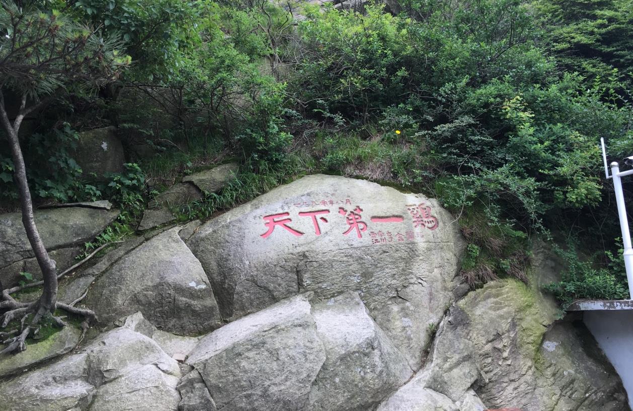 中国四大避暑胜地之一,我国南方和北方的天然分界线,鸡公山旅游