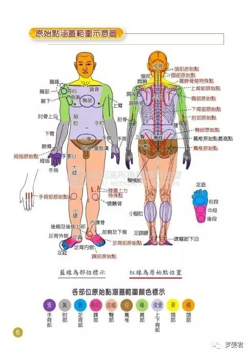 建议:像皮肤病或者咳嗽患者都要多按上背部原始点,这个部位有时候不