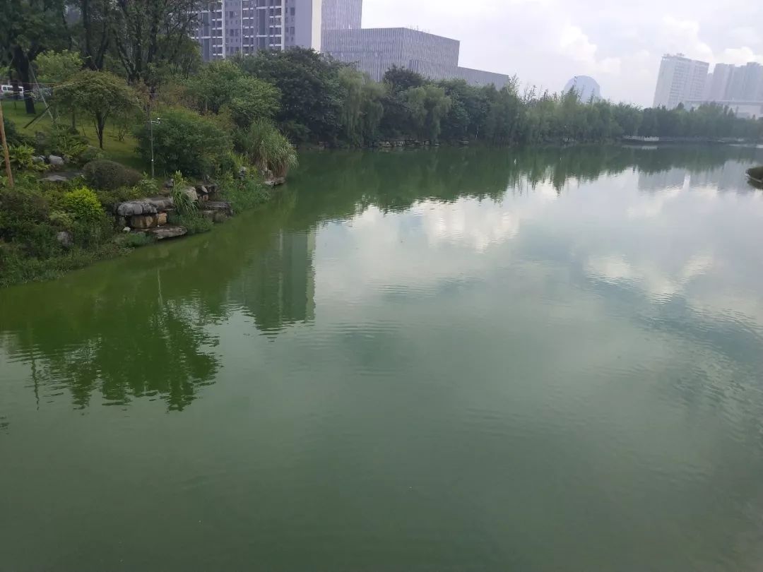 走进桂林市新建成的最大公园临桂新区中央公园