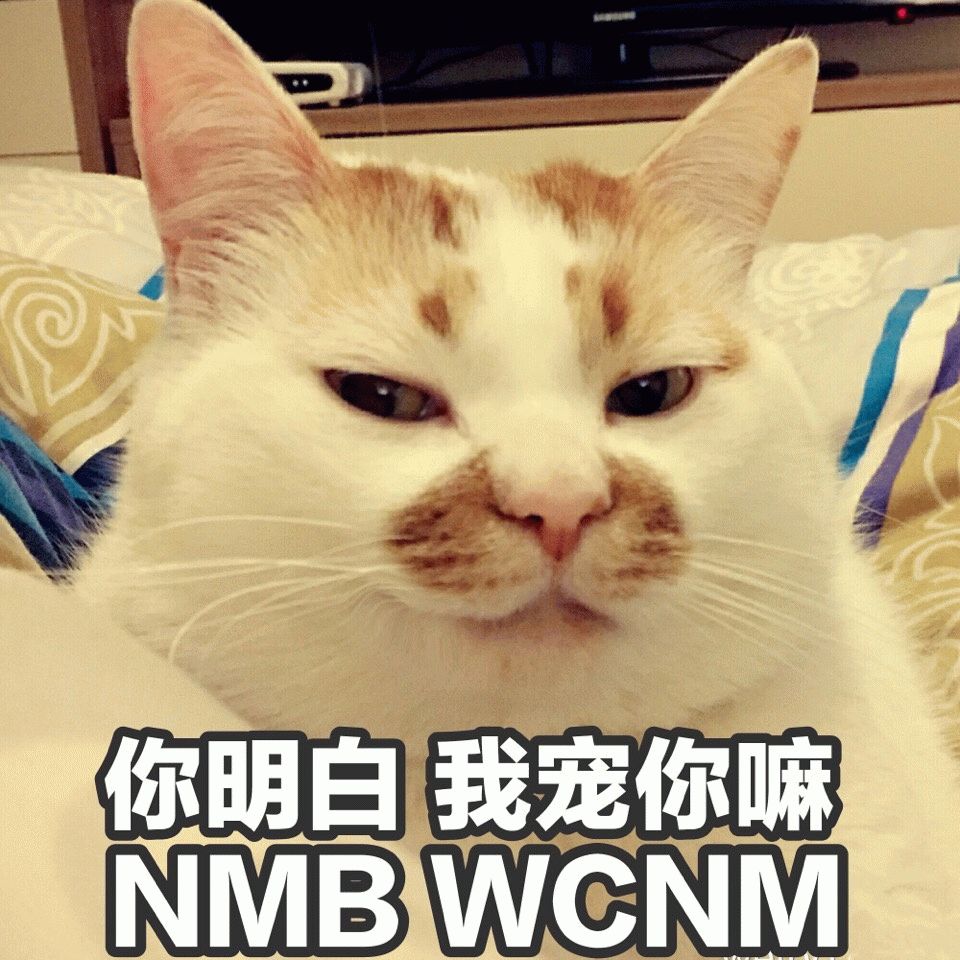 人口是资源猫_13亿人口资源