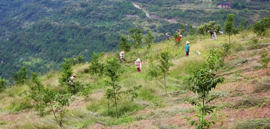 闲置厂房,镇村边角地,农村撤并的中小学校舍,荒山,荒滩等场地进行创业