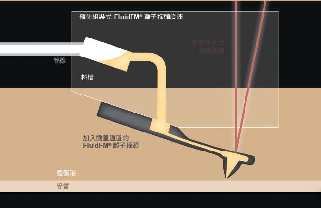 fluidfm离子探头注射口的最小口径可小于人类头发直径1/500.