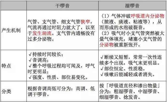 5 分钟速成!听诊入门就看这篇