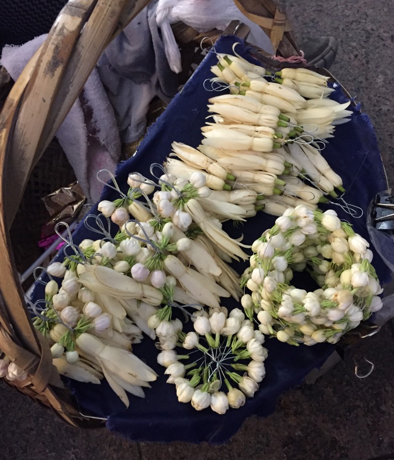 白蘭花 茉莉花 梔子花 五毛錢一朵 雪花新闻