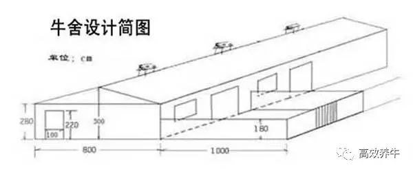 养牛场设计图及建设方案!养牛的请注意!