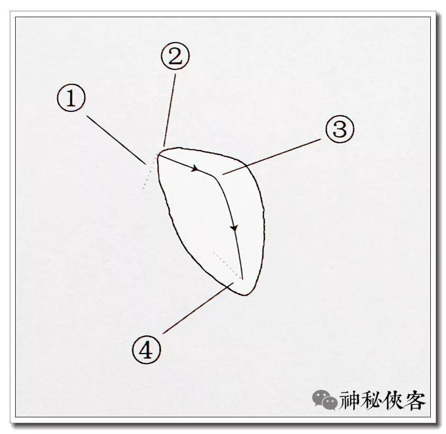 竖 点书写示范侧点的书写笔法要领 1.