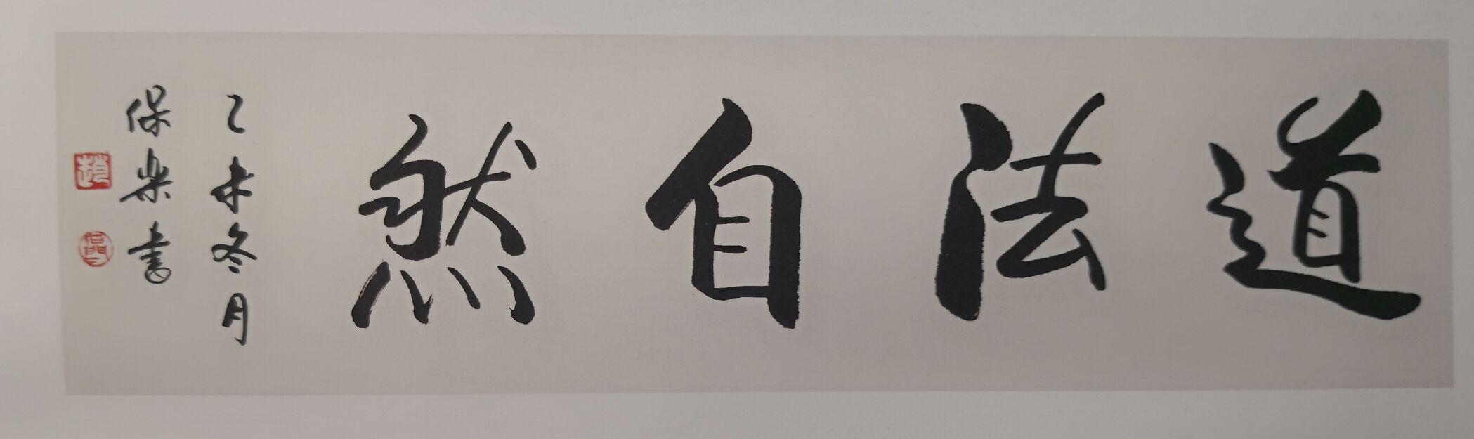 国内主持和演艺界的书法荟萃谁写的最好,赵宝乐的道法自然功力真可以.