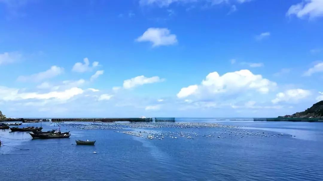 [升级版] 豪华大船首航中国十大最美海岛—南麂岛 | 蓝海,细沙,海鲜