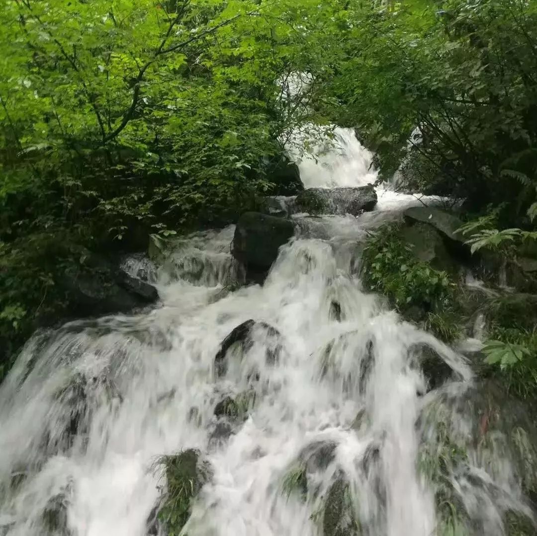 2012年8月,眉山市和洪雅县针对瓦屋山因交通等配套设施滞后不能满足