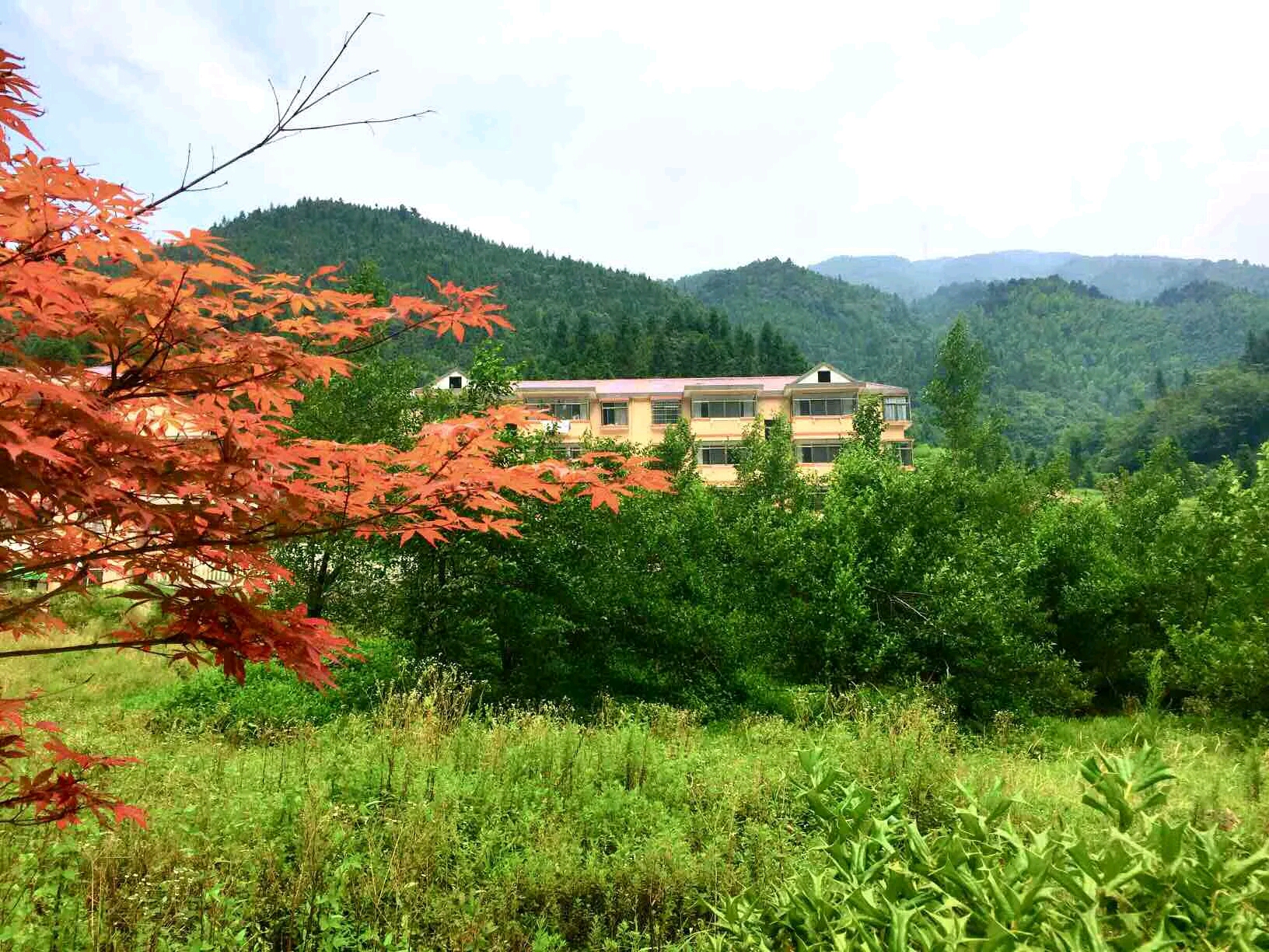 江西靖安九岭山中的小气候忽晴忽雨景致迷人