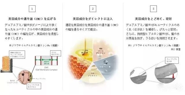 我们为你比较了日本的四款口碑发膜 不吹不黑只看效果 雪花新闻