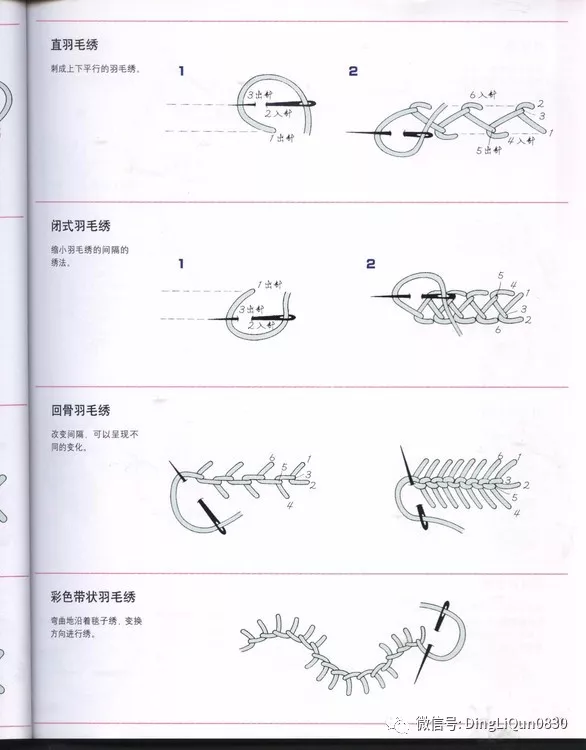 绣花针简谱_绣花针草药的图片(2)