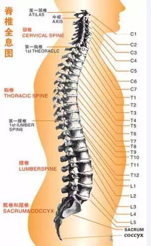 颈椎错位怎么办