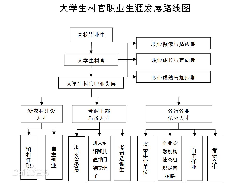 大学生村官的职业生涯发展!