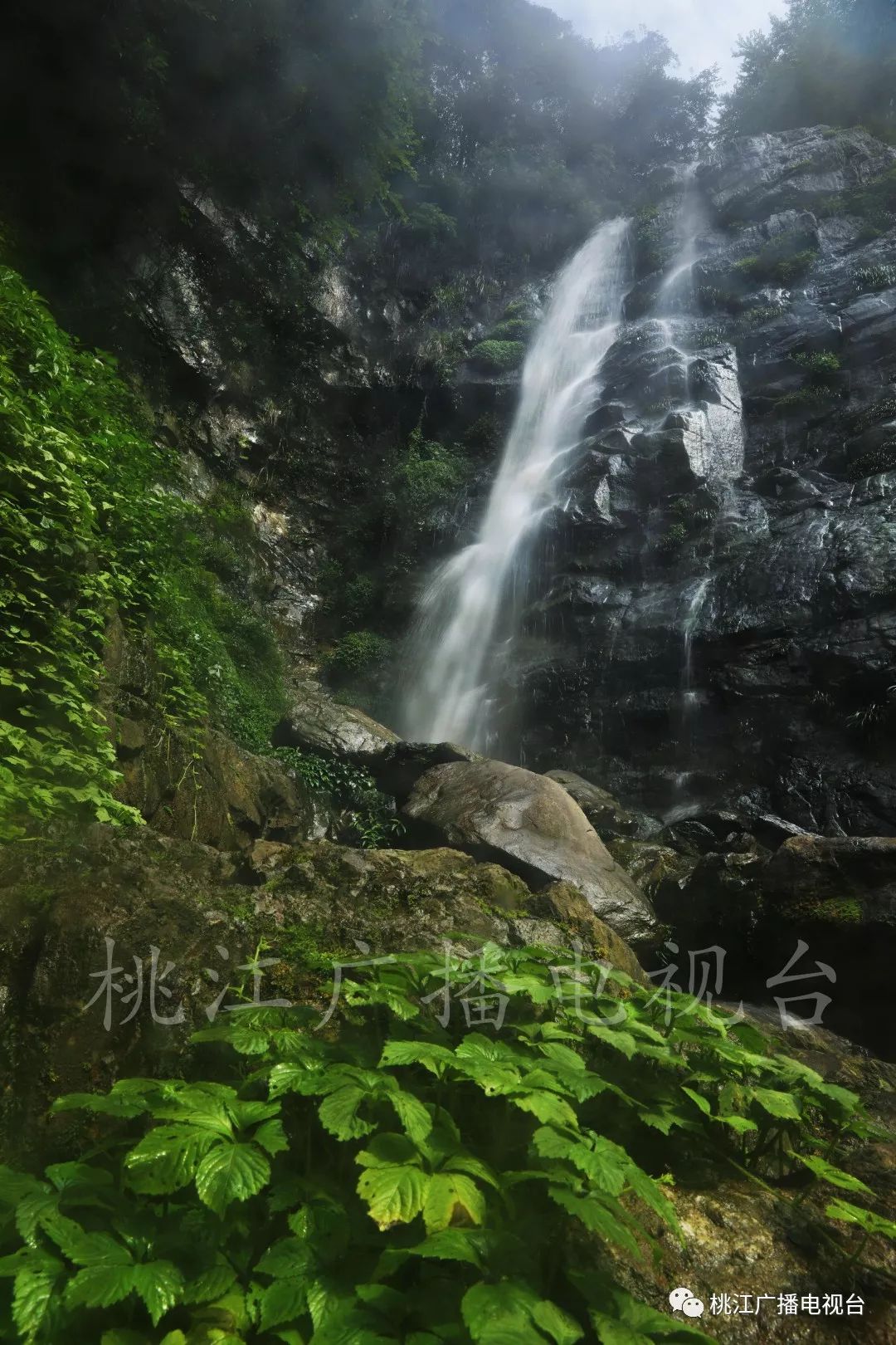 岩瀑布,湖南著名男高音歌唱家曹志强先生从高山深涧旁的小桥缓缓走来