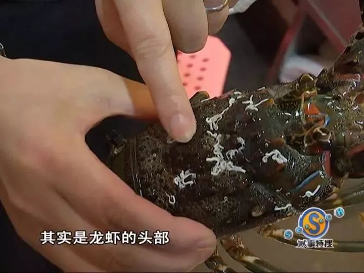 女子在龙虾中吃出口香糖商家表示可能是龙虾自己吃的但厨师却说