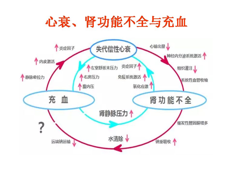 全科小讲课-段红艳-慢性心衰患者的容量管理