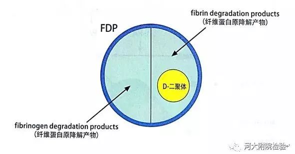 偏头痛的原理_神经末梢炎(2)