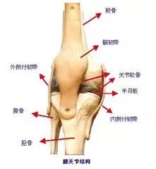 1什么是髌骨软化症?髌骨软化症篇