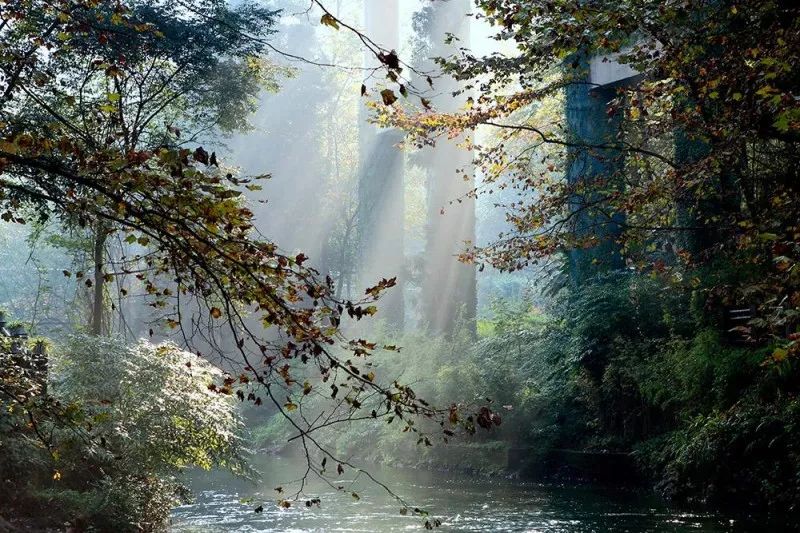 空山新雨后天气晚来秋，明月松间照，清泉石上流