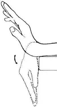 弯曲手腕(屈曲/伸展):前后弯曲手腕.