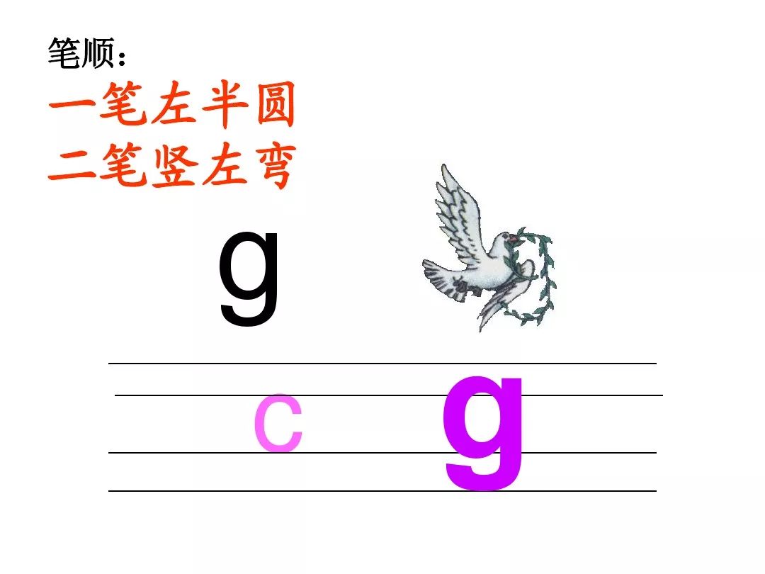 微课程:汉语拼音第九课 声母g 学习