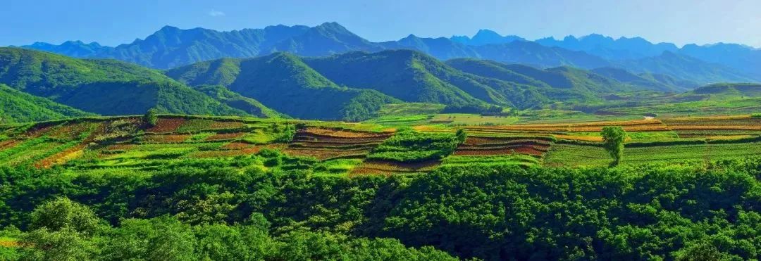 西安市秦岭生态环境保护十三五规划解读保护秦岭生态让绿水青山永续