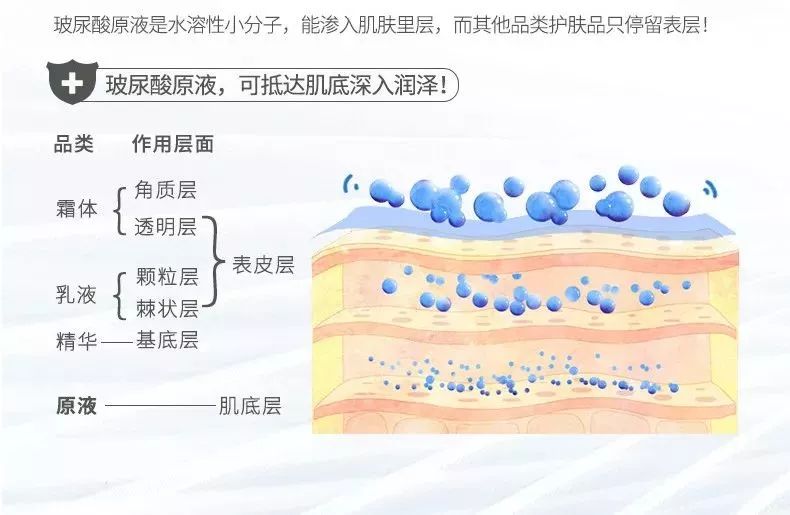 倍,是目前发现的自然界中保湿性最好的物质,被称为理想的天然保湿因子