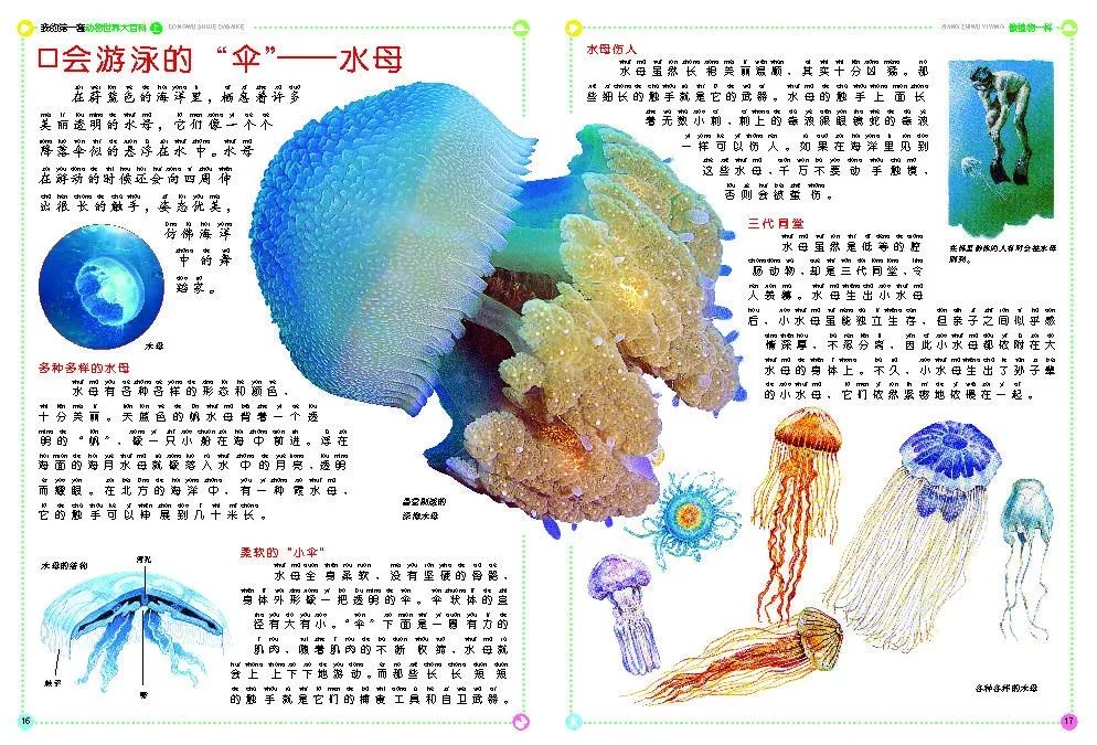 团|拼音版《动物大百科》,让孩子自主阅读爱上科学