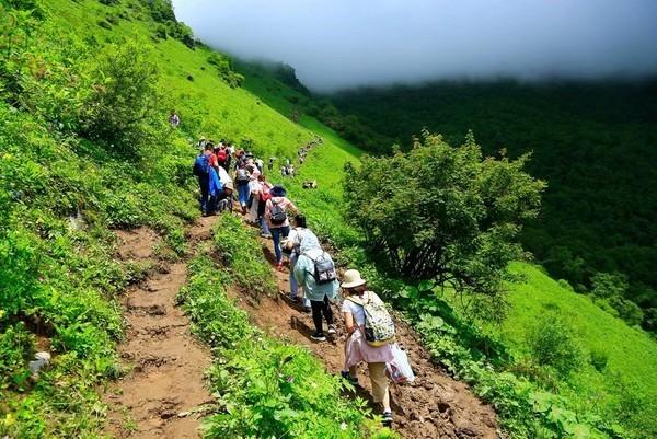 九顶山去过一次就想一去再去的地方