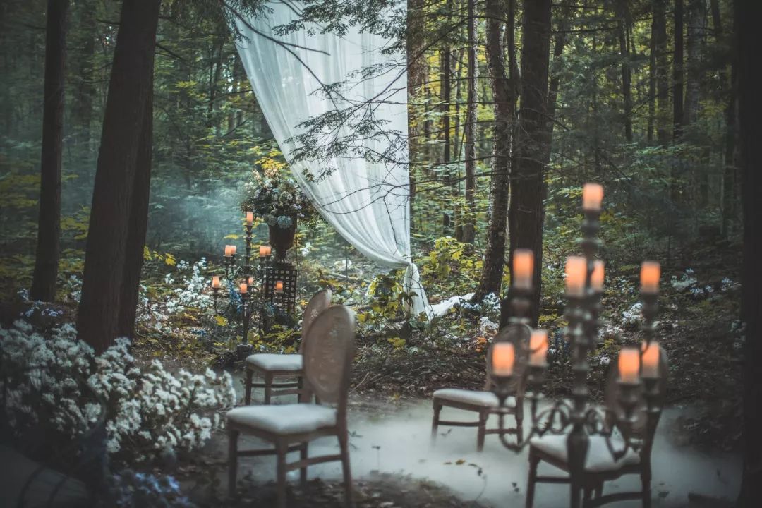 原始森林里的私密婚礼，不只是公主才有的待遇！