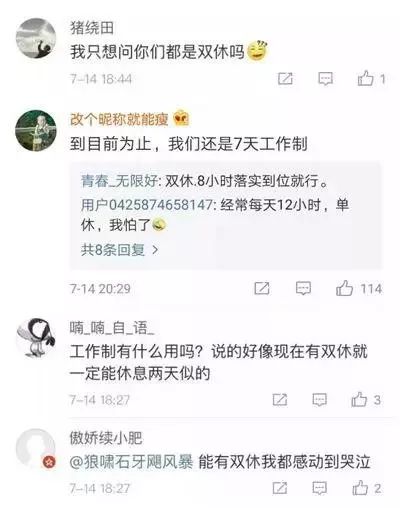 老总不放假_轩子巨二兔不放假