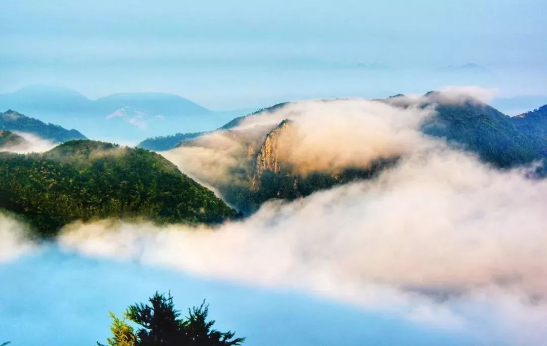 温州永嘉 · 四海山森林公园