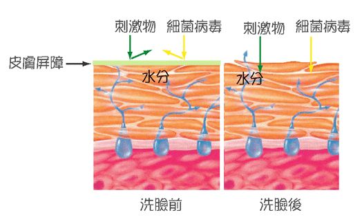 皮肤修复能力差怎么办