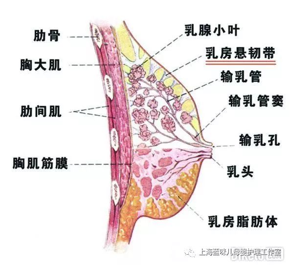 新生儿咬破乳头怎么办