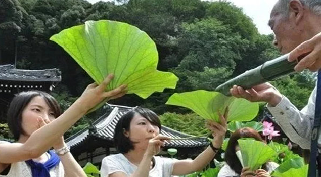 釀酒蒸汽發生器