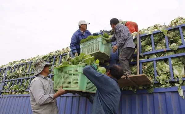 吉林省舒兰市法特镇GDP_舒兰市法特镇杀人图片