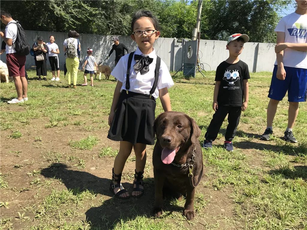 "小小训犬员"公交总队训犬基地体验活动活动火热报名