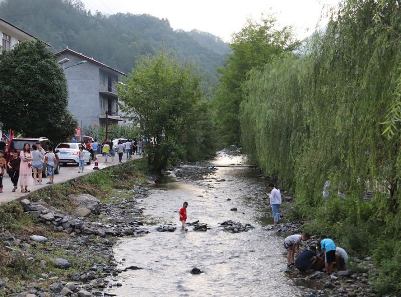 截至目前,重庆市共评出25个市级特色景观旅游名村,城口东安镇兴田村