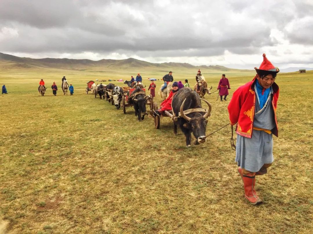 一组照片让你感受真正的蒙古游牧生活