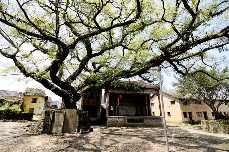 一间古庙,二条古街,三间祠堂,四座门楼,包容了丰阳古村的全部内涵.