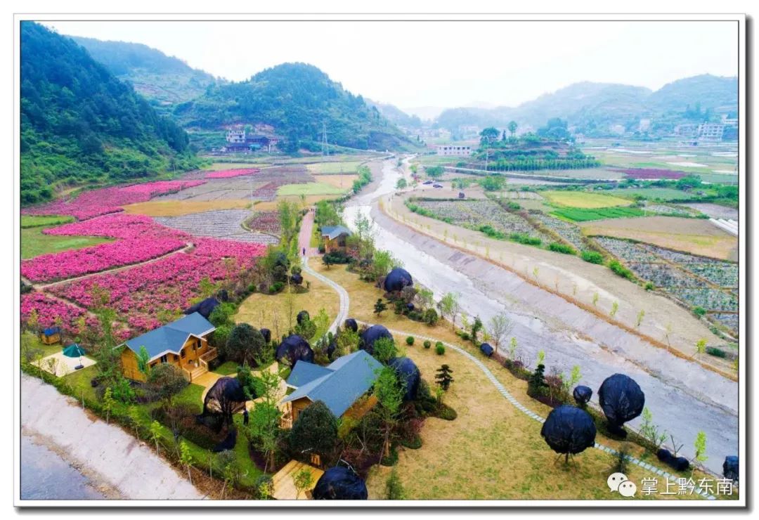 八月赏花哪里去?下司镇回龙村