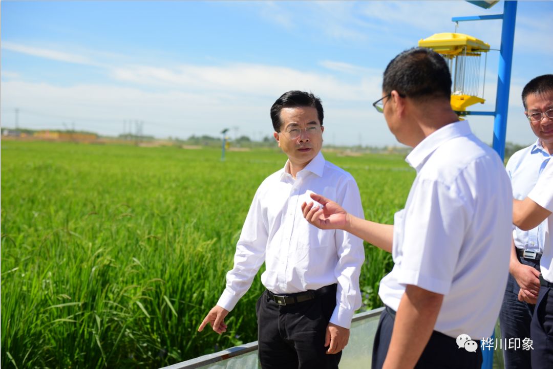 中国人民保险集团股份有限公司党委书记董事长缪建民来桦川县调研督导