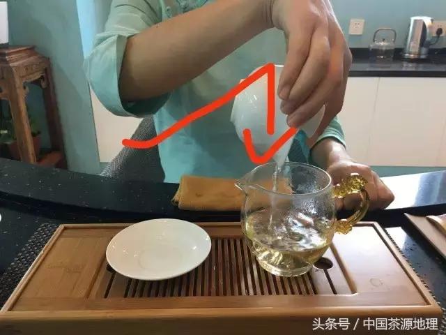 「学茶记」新手如何使用盖碗