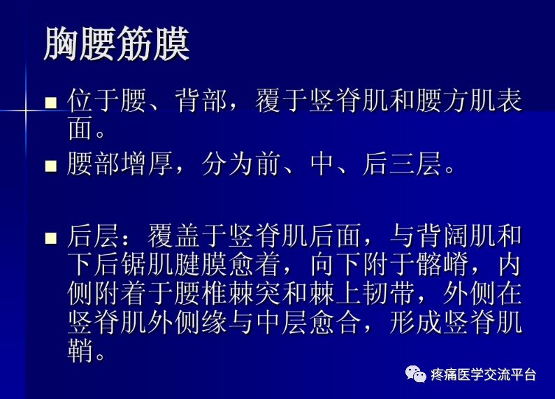 第二讲项背部肌肉应用解剖图文